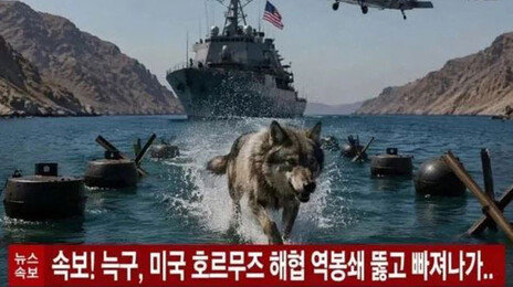 ‘탈출왕’ 늑구?…인터넷에 패러디 사진들 쏟아져
