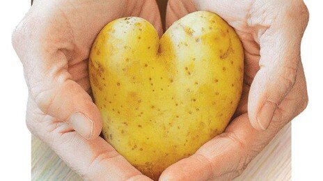 못생겼지만 사랑받는다 값이 착해서…고물가에 ‘못난이 농산물’ 인기