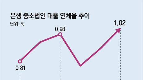 은행 연체율 10년만에 최고… 파산신청 법인도 코로나 때의 2배