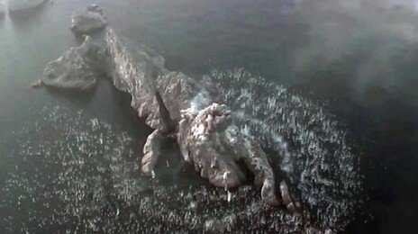 北 또 ‘집속탄 미사일’ 시험발사…김정은 “고밀도 타격능력 큰 의의”