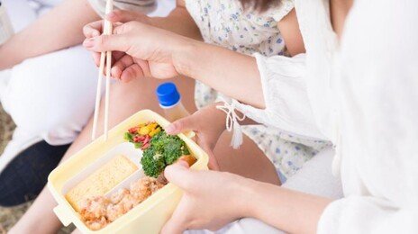 “다 끓였는데 왜?”…봄 소풍 도시락, 방심했다간 식중독