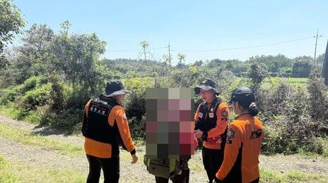 “주말 이틀에 14건”…고사리 캐다 길 잃고 뱀까지, 제주 ‘주의보’