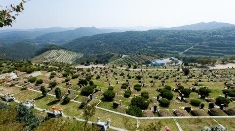 “어머니 살아있다” 화장 직전 시신 집으로 옮긴 70대 딸