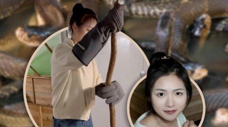 “연 2억원 번다”…독사 6만마리 키우는 30대 대졸 여성