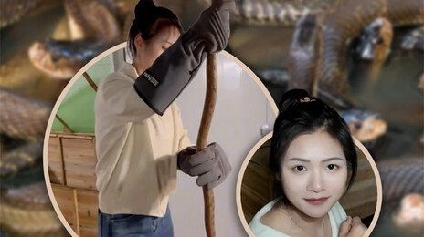 “연 2억원 번다”…독사 6만마리 키우는 30대 대졸 여성