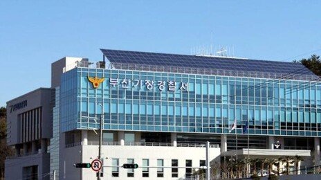 시술후 몸속서 손바닥 크기 거즈 나왔는데…의사 무혐의