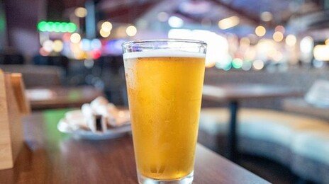 맥주 마시면 기분 좋아지는 이유…알코올 말고 ‘이것’ 때문?