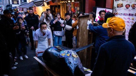 ‘47억에 낙찰’ 세계에서 가장 비싼 참치…기네스북 올랐다