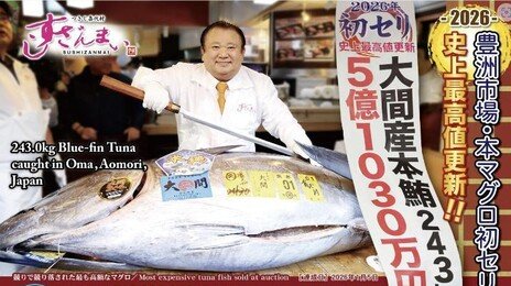 참치 한 마리가 ‘47억’…日 ‘세계에서 가장 비싼 참치’ 기네스북 등재