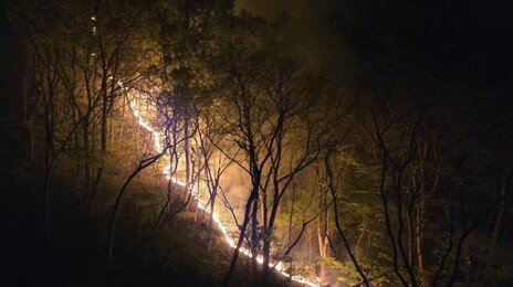 서천 안치저수지 인근서 산불…4시간38분 만에 진화