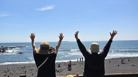 “제주 가 봤으면” 시한부 어머니 소원 이뤄준 신문고
