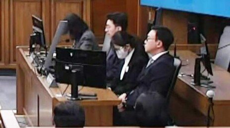 “김건희, 시세조종 직접 가담…공동정범 책임 인정”