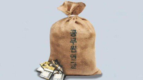 혈세로 공무원연금 보전 작년 9조 넘어