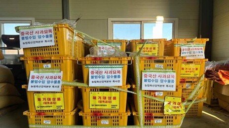“장난감이라더니 묘목이었다”…중국산 사과묘목 63만 주 밀수 일당 적발