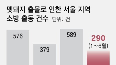 ‘서울 도심 멧돼지’ 2년새 55% 급증
