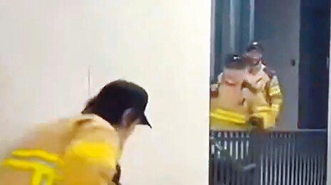 ‘서울 도심 멧돼지’ 2년새 55% 급증