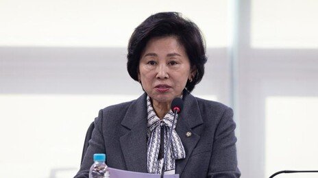 與남인순 “국회부의장 도전…李정부 성공 확실히 뒷받침”