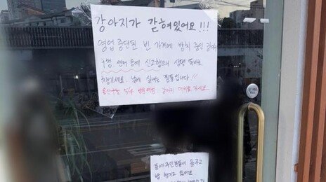 “폐업 후 강아지 버리고 가”…성시경 추천 ‘용산 맛집’ 노견 방치 논란