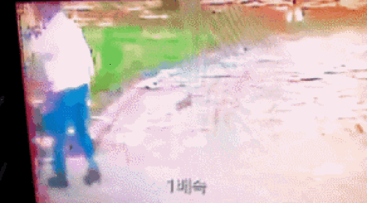 어린이날 앞둔 공원서…60대男이 2살 아이 ‘묻지마 폭행’