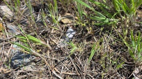 물놀이하다 ‘깜짝’…군위 하천서 6·25 전쟁 ‘72mm 고폭탄’ 발견