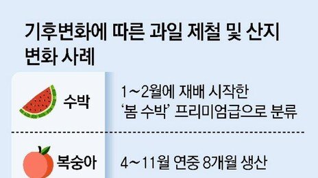 5월 수박, 4월 복숭아…더위 먹어 ‘철없는 과일’