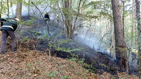 평창 오대산서 산불…헬기 2대 투입 진화중