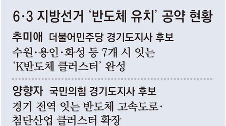 반도체 뜨자 “공장 유치” 공약 봇물… ‘공수표’ 우려속 기업은 곤혹