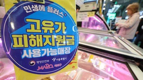 공시가 26.7억 넘는 1주택 자산가, 고유가 지원금 못받는다
