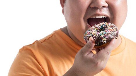 30세 전 비만되면 간암 5배· 췌장암 2배 ↑…63만명 추적 결과