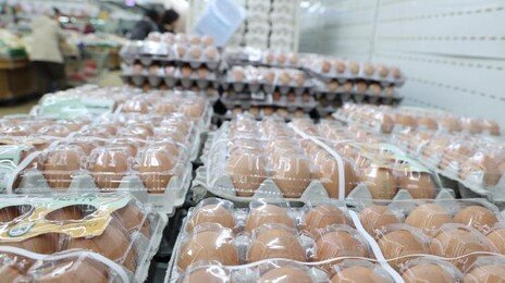 ‘달걀값 짬짜미’ 산란계협회에 과징금 5억9400만원