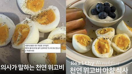“비싼 위고비 대신 계란?”…SNS 달군 ‘천연 위고비’ 식단
