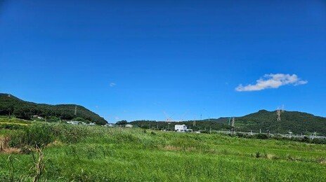 사상 첫 농지 전수조사 오늘 착수… 투기 의심지역 현장조사