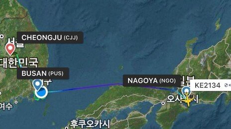 “드론 때문에 인천공항까지 갔다”…김해공항 활주로 폐쇄에 벌어진 일