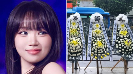 “무리한 안무 강행에 김채원 목 부상” 르세라핌 팬들 ‘근조화환 시위’