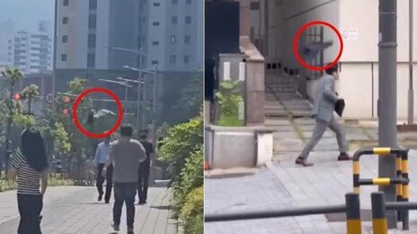“눈 마주치지 마” 얼굴 기억했다 괴롭힌다…도심의 ‘검은 폭군’