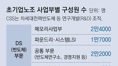 삼전 합의안 투표율 80% 넘겨… 비메모리 부문 반발이 변수