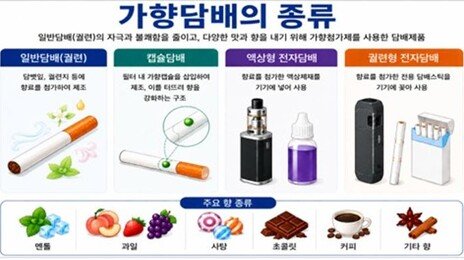 청소년 첫 흡연 77%는 맛-향 첨가한 ‘가향담배’