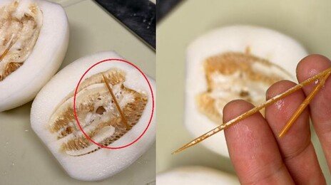 참외 잘랐더니 이쑤시개가…“마트 시식 손님이 꽂았을 수도”