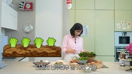 “샐러드로도, 쌈으로도 최고”…최화정이 추천한 상추의 효능