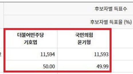 딱 1표차로 당락 갈렸다…논산 충남도의원 ‘극적 승부’