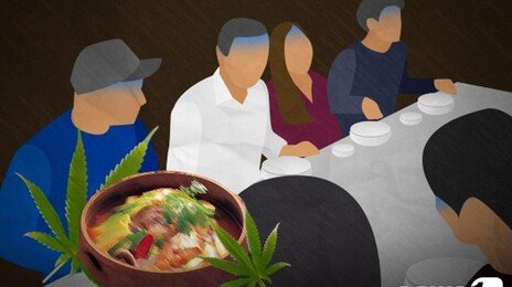 ‘대마씨 닭백숙’ 사람 잡을뻔…안동서 80대 5명 병원행