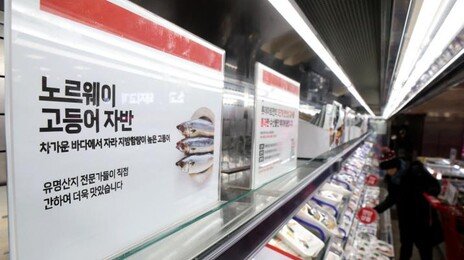 29일부터 수입 수산물 5개 어종 유통이력 추가공개 의무화