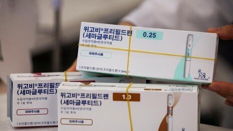 ‘더 길고 더 센 약’ 경쟁… 달아오른 비만치료제 시장
