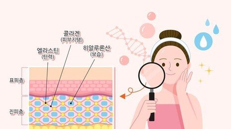 “콜라겐, 피부 보습·관절 통증 완화 효과”…113개 임상시험 분석