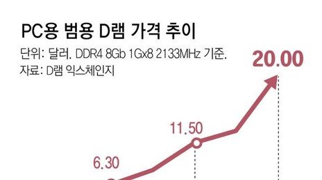 “반도체 값 폭등, 美경제 악영향” 경고… 국내 업체 ‘규제 역풍’ 우려
