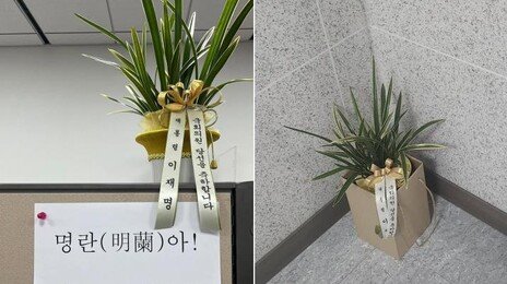李축하난 거부했다 받은 국힘 김태규 “명란아, 바르게 살거라”