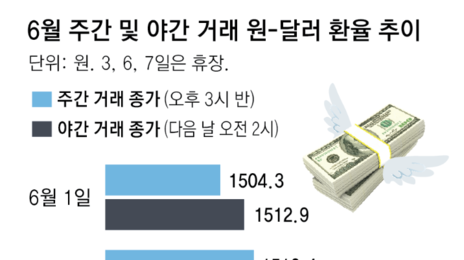 “환투기세력 외환시장 교란” 한은-금감원, 13년만에 공동조사