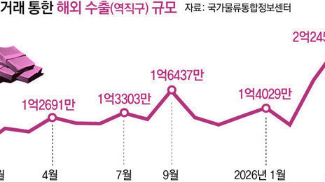 ‘역직구’ 고환율 타고 날았다… 수출액 77% 급증