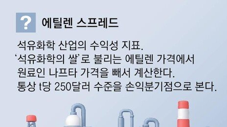 전쟁중 ‘고가 나프타’ 역풍… 하반기 유화업계 실적 비상