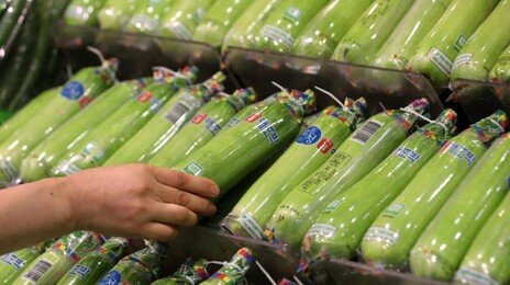 6월 상순 채소류 가격 교차…감자·배추↓·애호박·양파↑